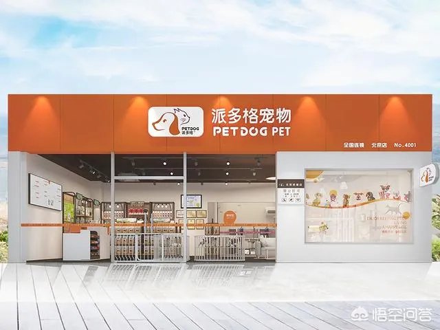 加盟一个宠物店或者自己开一个需要多少钱？