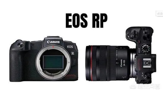 折耳鱼不呼吸在线观看免费