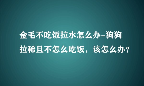 金毛不吃饭拉水怎么办-狗狗拉稀且不怎么吃饭，该怎么办？