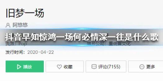 《抖音》早知惊鸿一场何必情深一往是什么歌 早知惊鸿一场完整歌词