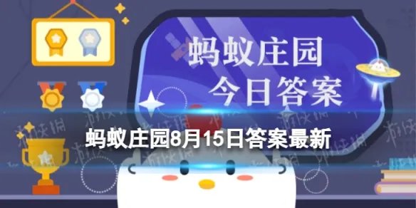 涮火锅常吃的牛百叶，其实是牛的什么部位 蚂蚁庄园8月15日答案最新