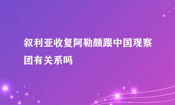 叙利亚收复阿勒颇跟中国观察团有关系吗