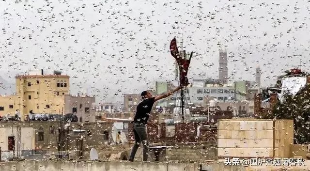 巴基斯坦蝗灾怎么样了？最近怎么感觉没人提及？