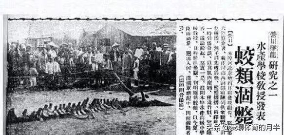 威宁秀水镇有山体怪声，当地传说有龙，专家都去了，大家怎么看？