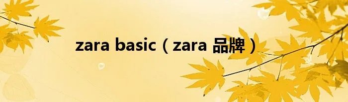 zara basic（zara 品牌）
