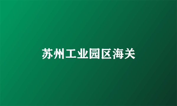苏州工业园区海关