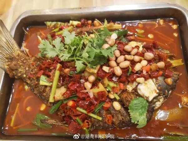 湖南科技学院好不好呢？