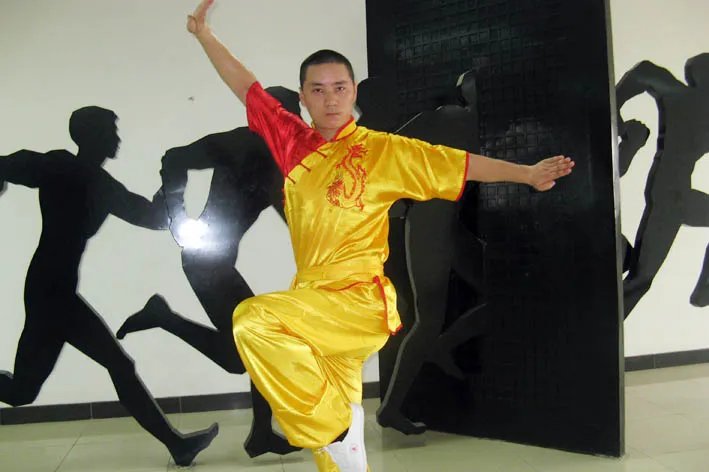 武术班之中国功夫的介绍