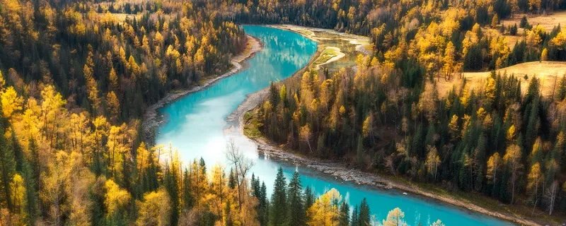 伏尔加河的流向