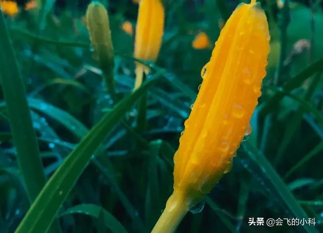 怎样保障二手数码是正品？