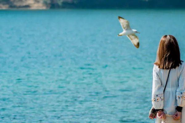 去丽江旅游需要多少钱？