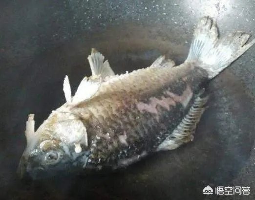 怎样熬鲫鱼汤？