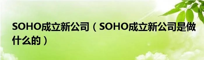 SOHO成立新公司（SOHO成立新公司是做什么的）
