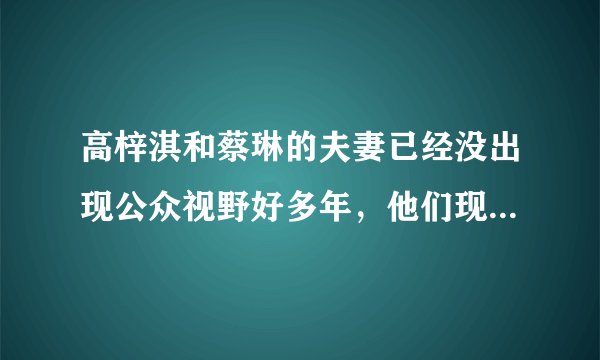 高梓淇和蔡琳的夫妻已经没出现公众视野好多年，他们现在幸福吗？