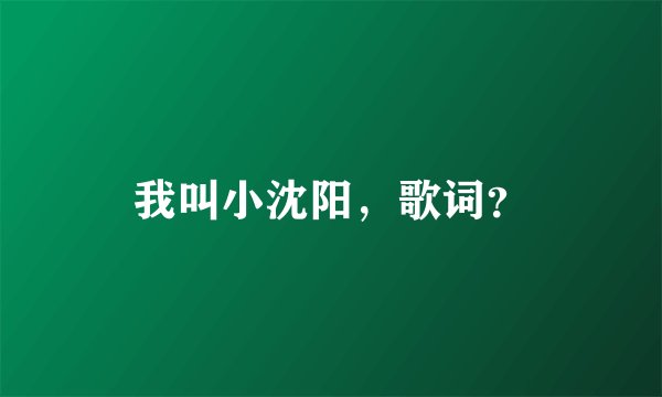我叫小沈阳，歌词？