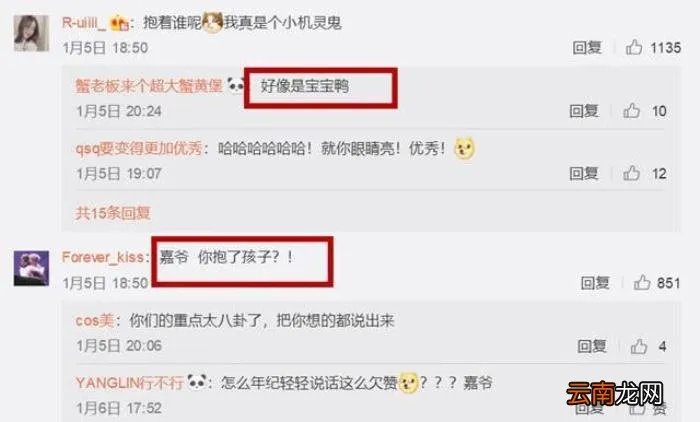 刚传李维嘉老婆是龙丹妮 维嘉的老婆龙丹妮