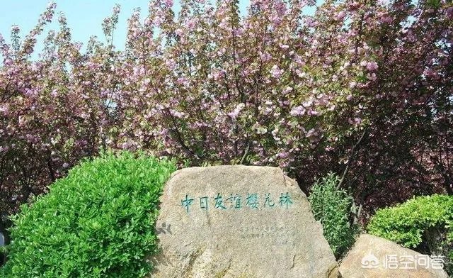 旅顺不让日本人进入是真的吗？