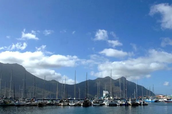 黄叶病热带第4型的历史沿革