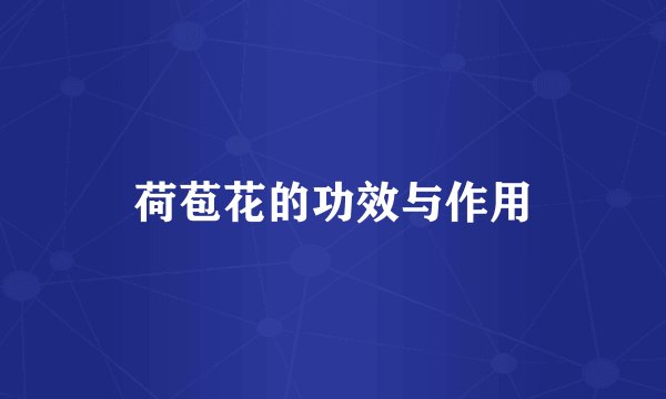 荷苞花的功效与作用