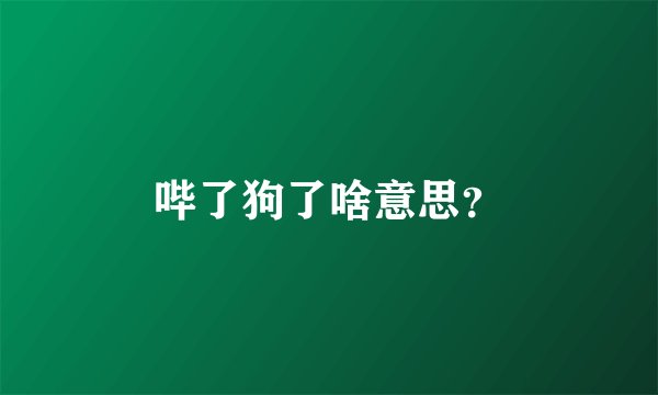 哔了狗了啥意思？