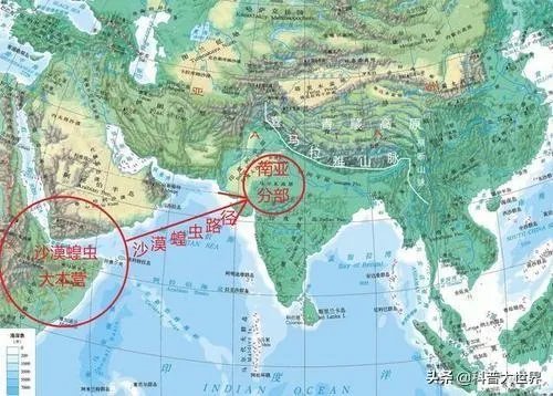 非洲蝗虫成灾，已影响印度和巴基斯坦，会传入中国吗？