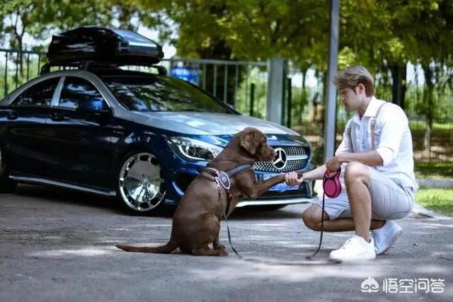 哪款SUV性价比最高？