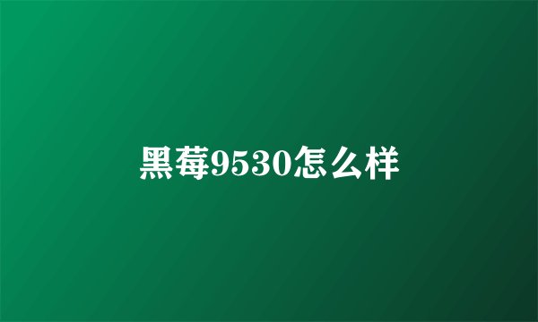 黑莓9530怎么样