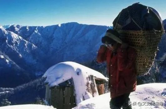 登珠峰为什么要夏尔巴人当向导