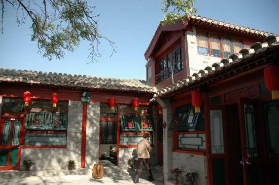 老北京人养信鸽是什么情况？