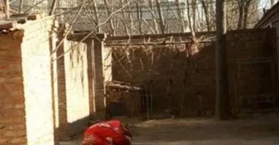 廊坊一家五口为什么被杀？