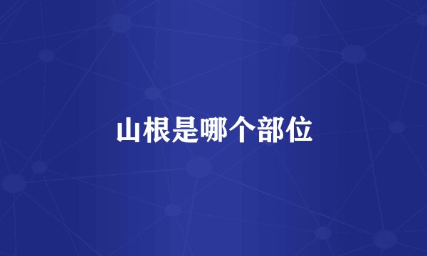 山根是哪个部位