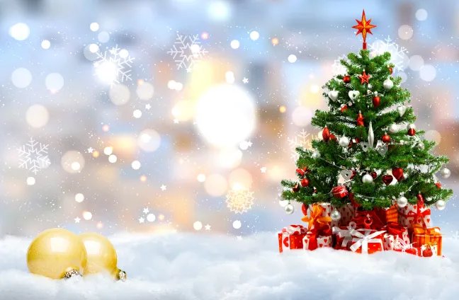 2021年12月24日是什么日子 2021年12月24日是什么节日