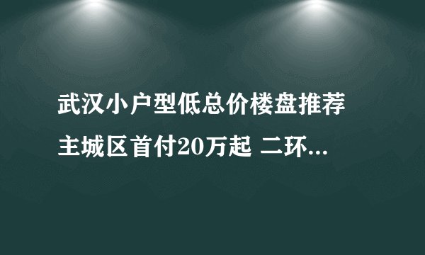 武汉小户型低总价楼盘推荐 主城区首付20万起 二环内首付45万
