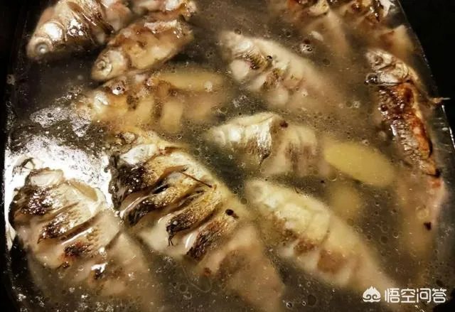 怎样熬鲫鱼汤？