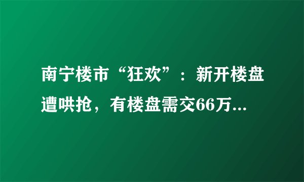 南宁楼市“狂欢”：新开楼盘遭哄抢，有楼盘需交66万“团购费”才能交首付，这笔钱不在合同内也没有收据。你怎么看？