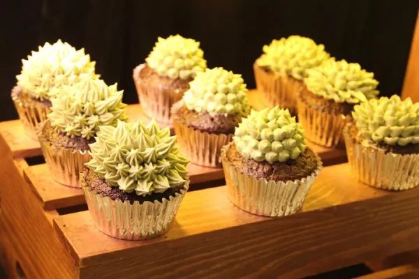 十大最贵的多肉有哪些？