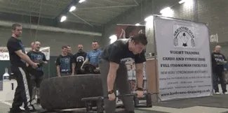 有哪些搞笑gif动画呢?