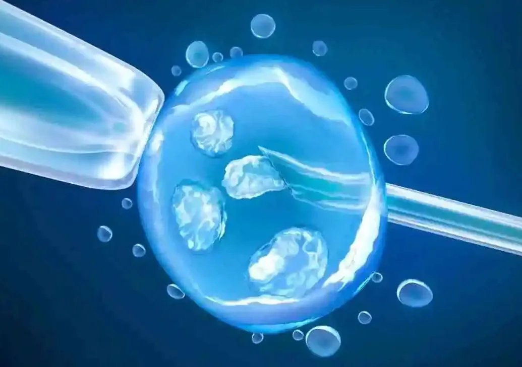 中信湘雅试管费用-2023年中信湘雅医院男婴三代试管套餐大概费用是多少？ 附上价目表！