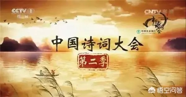 如何看待电视娱乐节目？