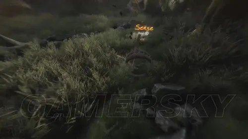 伊森卡特的消失 全剧情流程解谜图文攻略