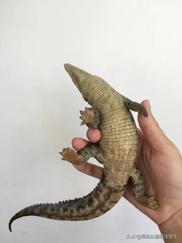 科莫多巨蜥与非洲鳄哪个更厉害？