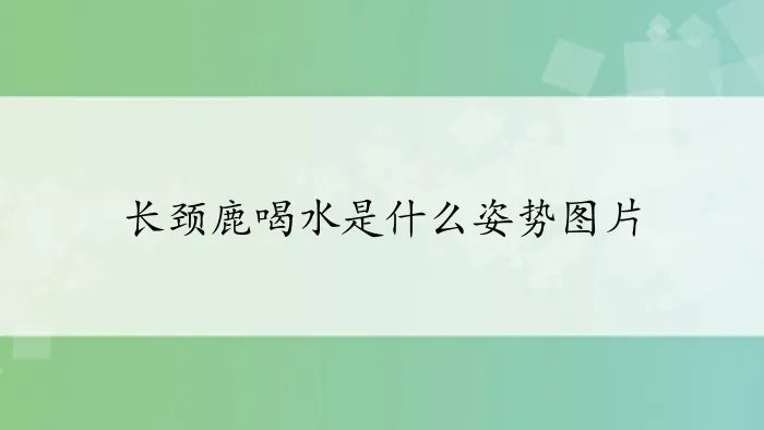 长颈鹿喝水是什么姿势图片
