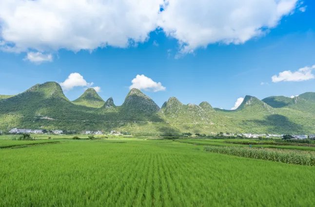 有哪些少数民族的传统节日