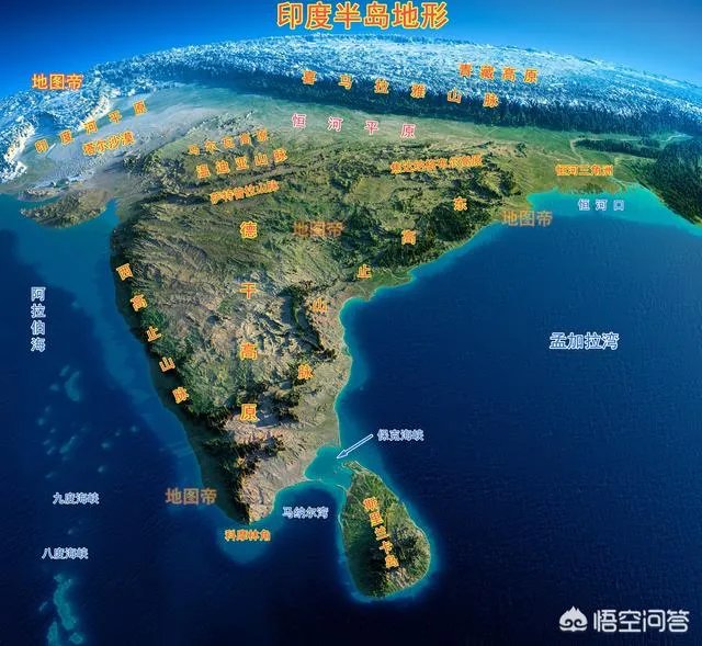 非洲蝗虫成灾，已影响印度和巴基斯坦，会传入中国吗？