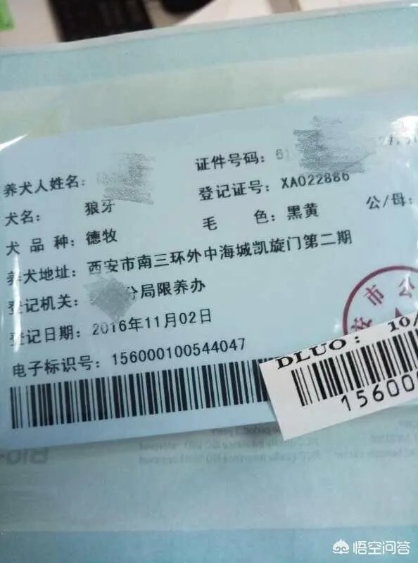 杭州试点“公共遛犬区”，市民终于能带爱犬晒太阳了，你怎么看？