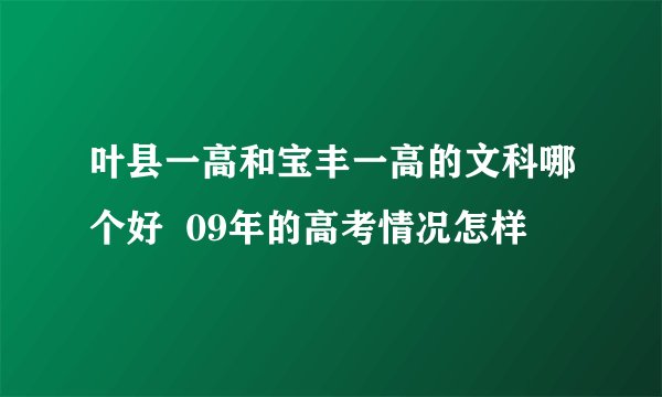叶县一高和宝丰一高的文科哪个好  09年的高考情况怎样