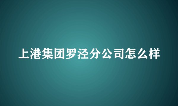 上港集团罗泾分公司怎么样