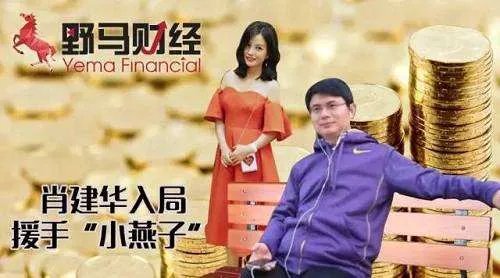 赵薇哥哥是谁背景大曝光大富豪 揭赵薇夫妇背后金主是谁真实身份
