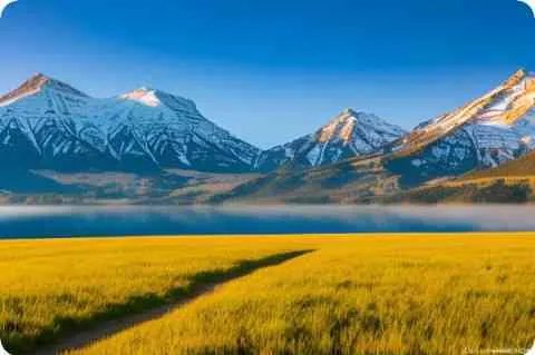 咧怎么组词和拼音怎么写，用咧字组词语和成语