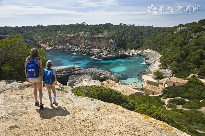 心丝虫是什么 如何预防